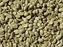 Benefici dell'estratto di chicco di caffè verde negli studi sulla perdita di peso